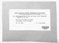 Image Associated With the Occurence